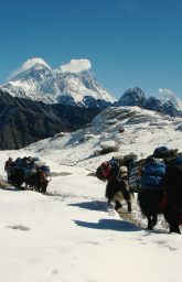 Routes to everest base camp | Everest package| gokyo cho la pass